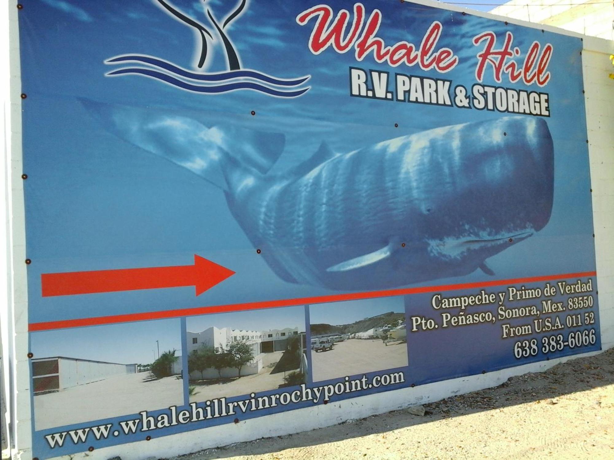 Whale Hill Aparthotel Puerto Penasco Room photo